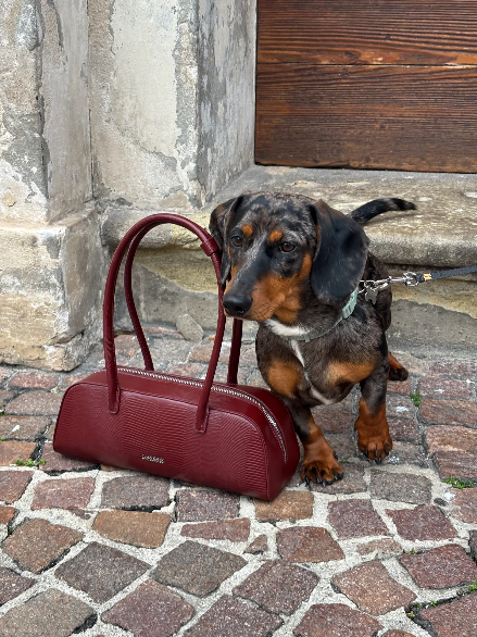 Borsa a spalla LONGUETTE- PORT WINE RED