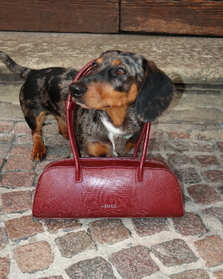Borsa a spalla LONGUETTE- PORT WINE RED