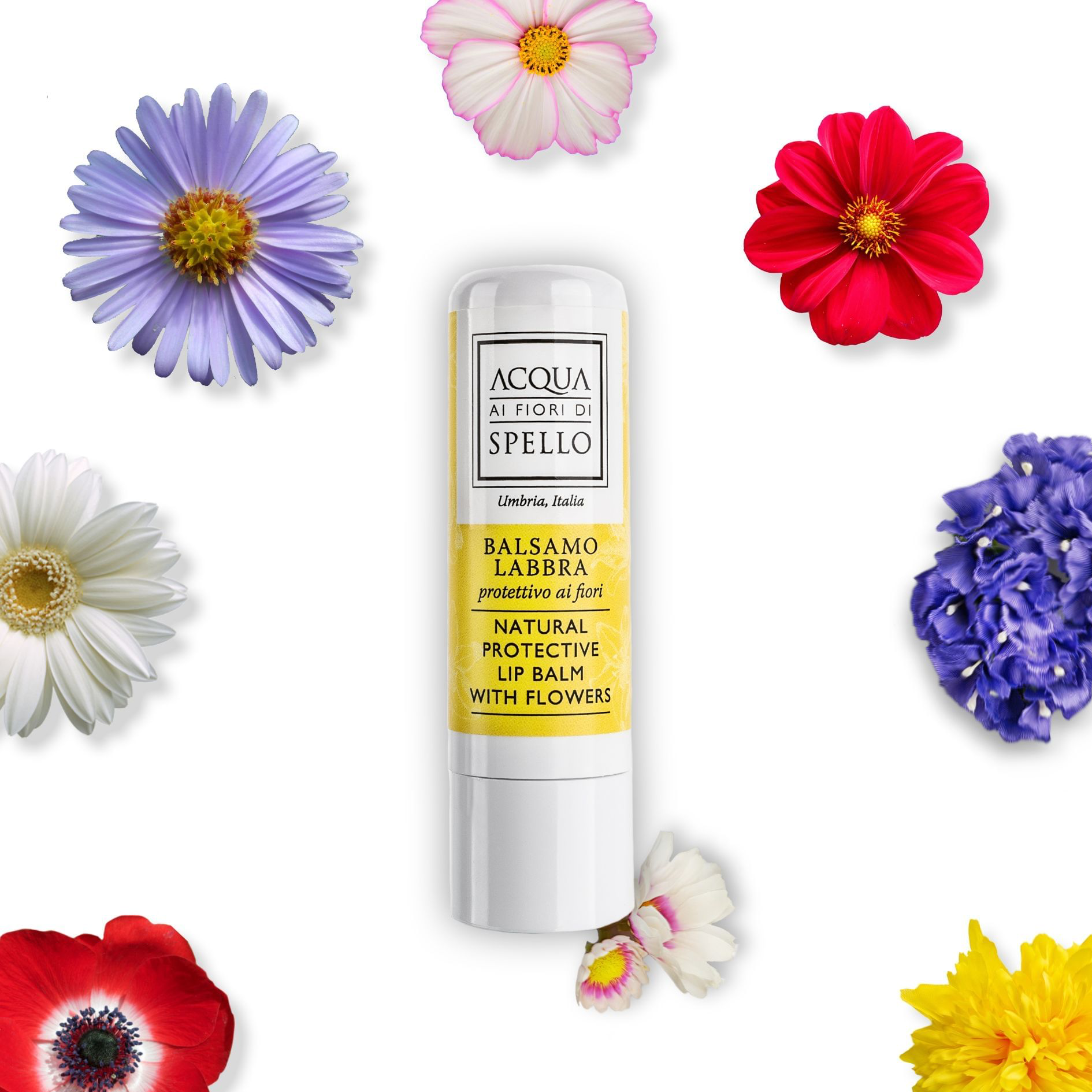 Balsamo Labbra ai Fiori 4,5ml
Balsamo Labbra ultra nutriente ai fiori che lascia le labbra super luminose, protette e nutrite in profondità.