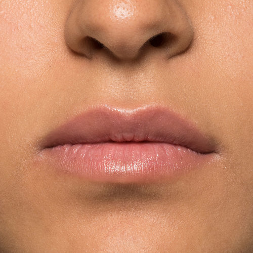 LIP REPAIRE