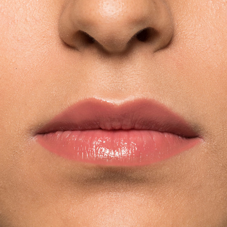 LIP REPAIRE